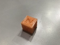 Calibration cube printed by Dedalo