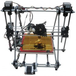 Clon-31-Prusa-popoulus.jpg