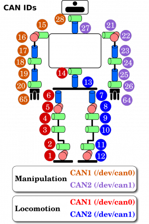 Joints (can).png